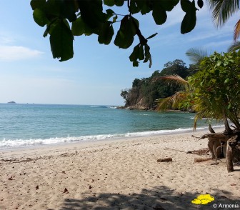 Manuel Antonio Quepos (2)